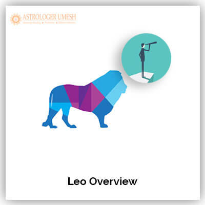 Leo Overview